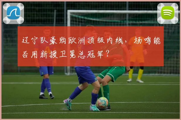 辽宁队豪购欧洲顶级内线，杨鸣能否用新援卫冕总冠军？